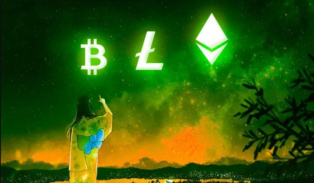  Мрежата Litecoin
