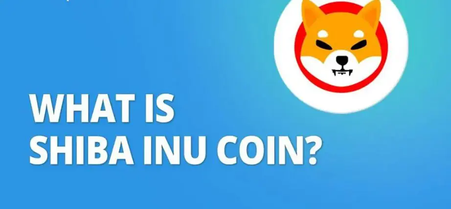криптовалута Shiba Inu и dodgecoin
