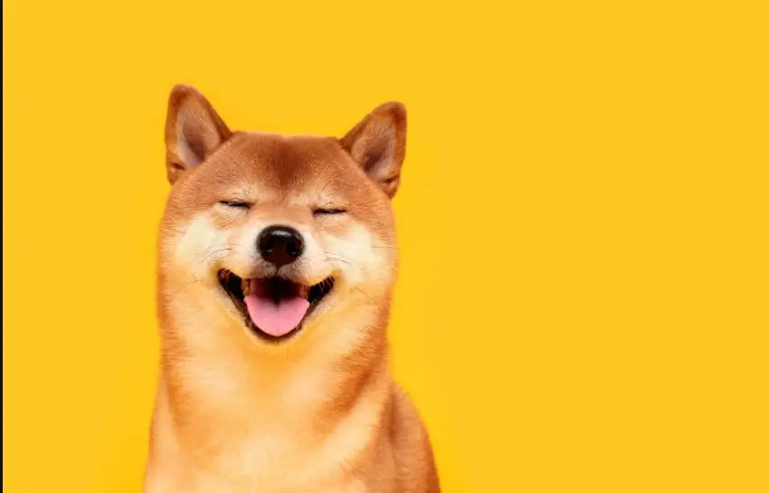 Какво е dogecoin