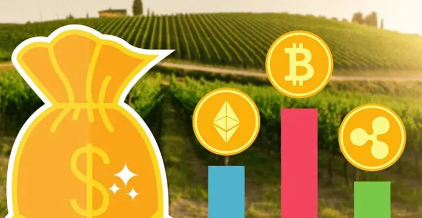 криптофермерство за добив на криптовалути