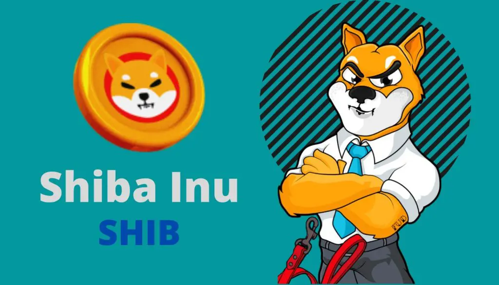 Какво ще се случи с шиба ину през 2022 г.?
