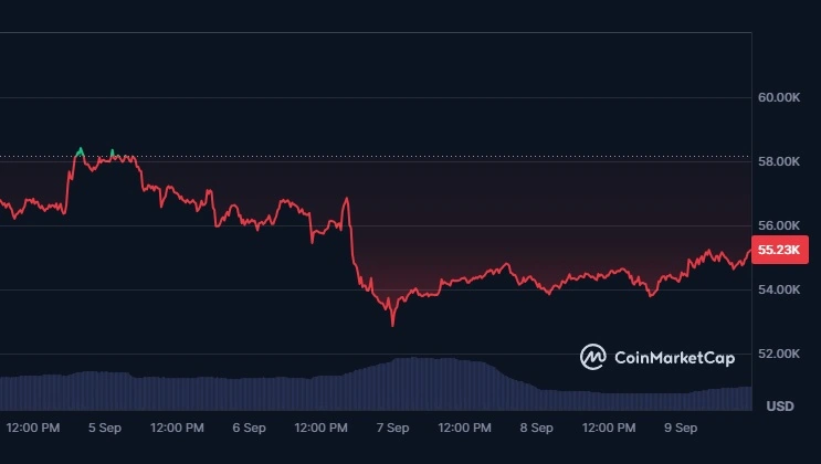 Стойността на биткойн падна до 52,850 USD