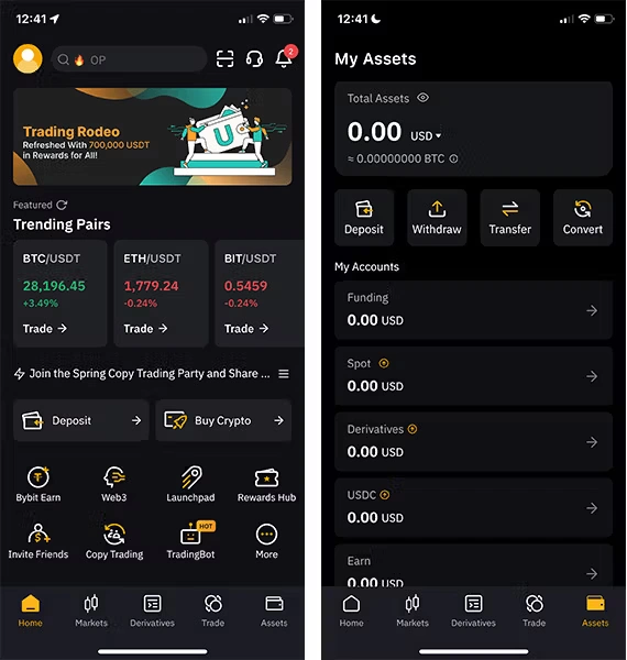 Общ преглед на Bybit